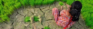 Farming in Rupandehi District, western Nepal © Neil Palmer / CIAT