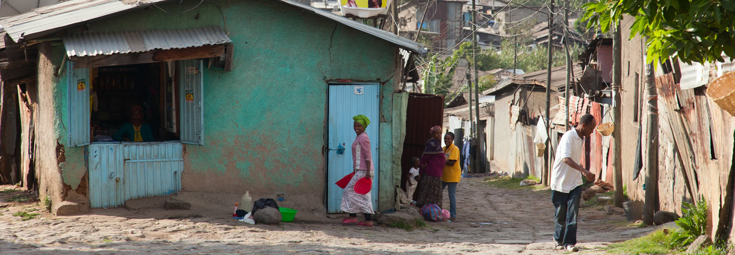 Addis Ababa, Ethiopia © aleksandr hunta / Shutterstock