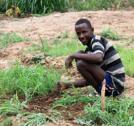 Working on a community-led seedlings nursery project in Somali region, Ethiopia © Malini Morzaria / EU / ECHO