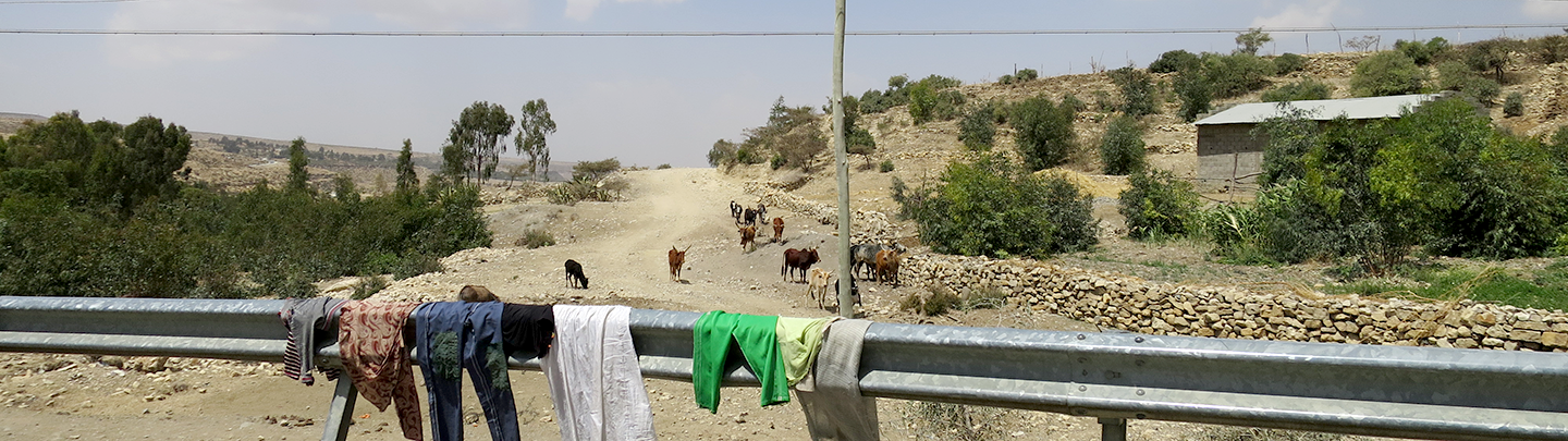 On the road to Wukro town, Ethiopia © Katrina Charles/REACH