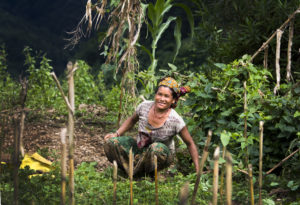 Woman working in her crops in Nepal; Credit: Alice Chautard