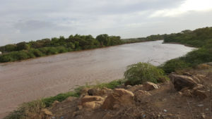 High flow Turkwel river, Kenya; Credit: Feyera Hirpa/REACH