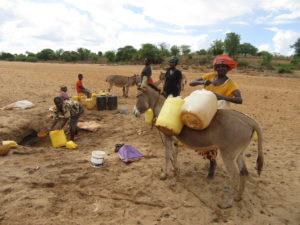 Women collecting water from a river bed in Kenya, Kitui