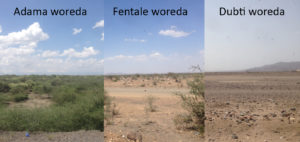 Awash landscape in Adama, Fentale and Dubti woredas; Credit: Catherine Grasham/REACH