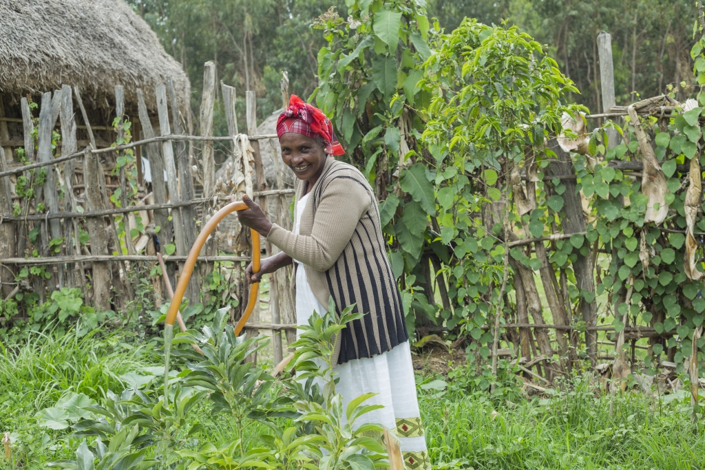 Ethiopia farmer using groundwater for irrigation