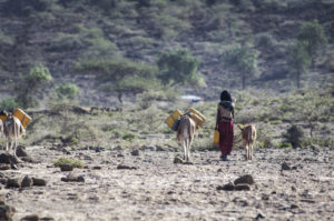 Woman walking to collect water in Haro Kersa, Ethiopia; Credit: Alice Chautard/REACH