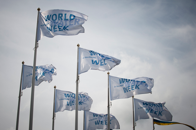 World Water Week flags