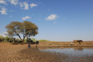 Rain fed pond in Tigray, Ethiopia; Credit: UNICEF Ethiopia_Getachew