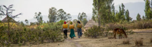 Women carry water back to their homes in Wolgeba village in Halaba Zone, Ethiopia. Like many villages in the Zone, Wolgeba is known for its water shortages. UNICEF supports the local government to provide water to the rural communities. © UNICEF Ethiopia/ 2015/Tesfaye