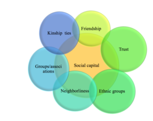 Infographic showing the different components of social capital: trust, ethnic group, neighbourliness, groups/assocations, kinship ties, and friendship