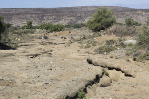 Arid landscape in Haro Kersa, Ethiopia