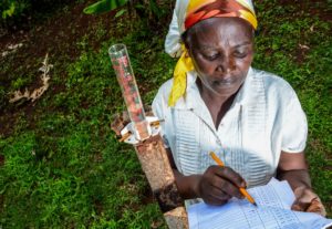 Farmer Mercy Wambui measuring rainwater on her farm