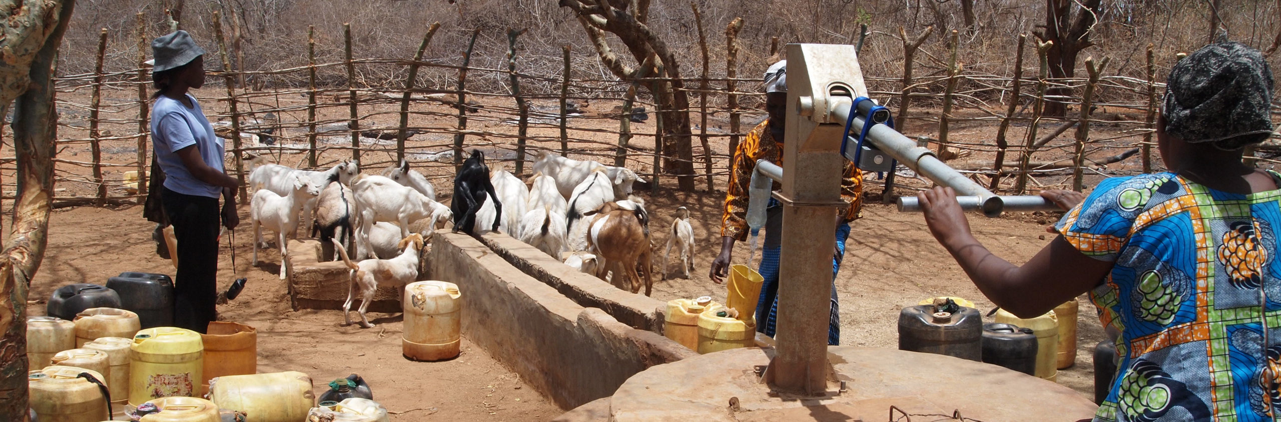 Woman collecting water at a hand pump in Kyuso, Kenya