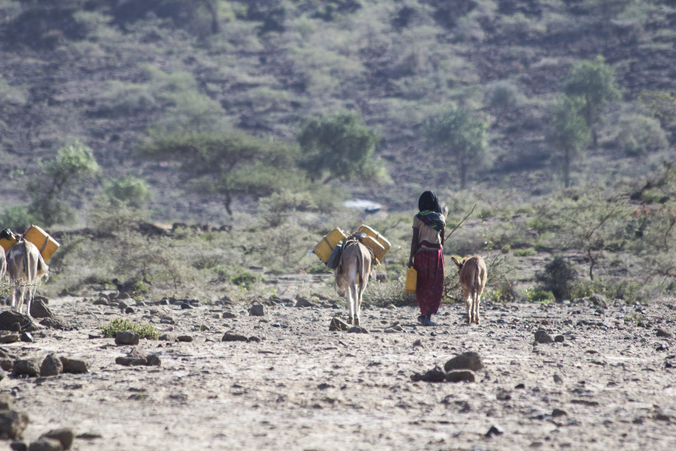 Women carrying water in Ethiopia
