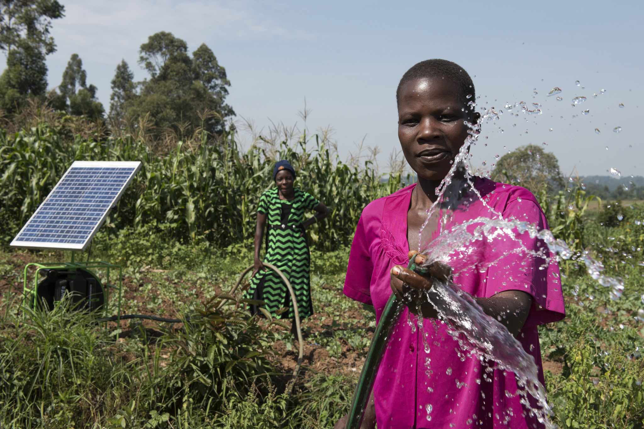 Women irrigating a farm using solar-powered water pump; Credit: Jeffery M Walcott / IWMI