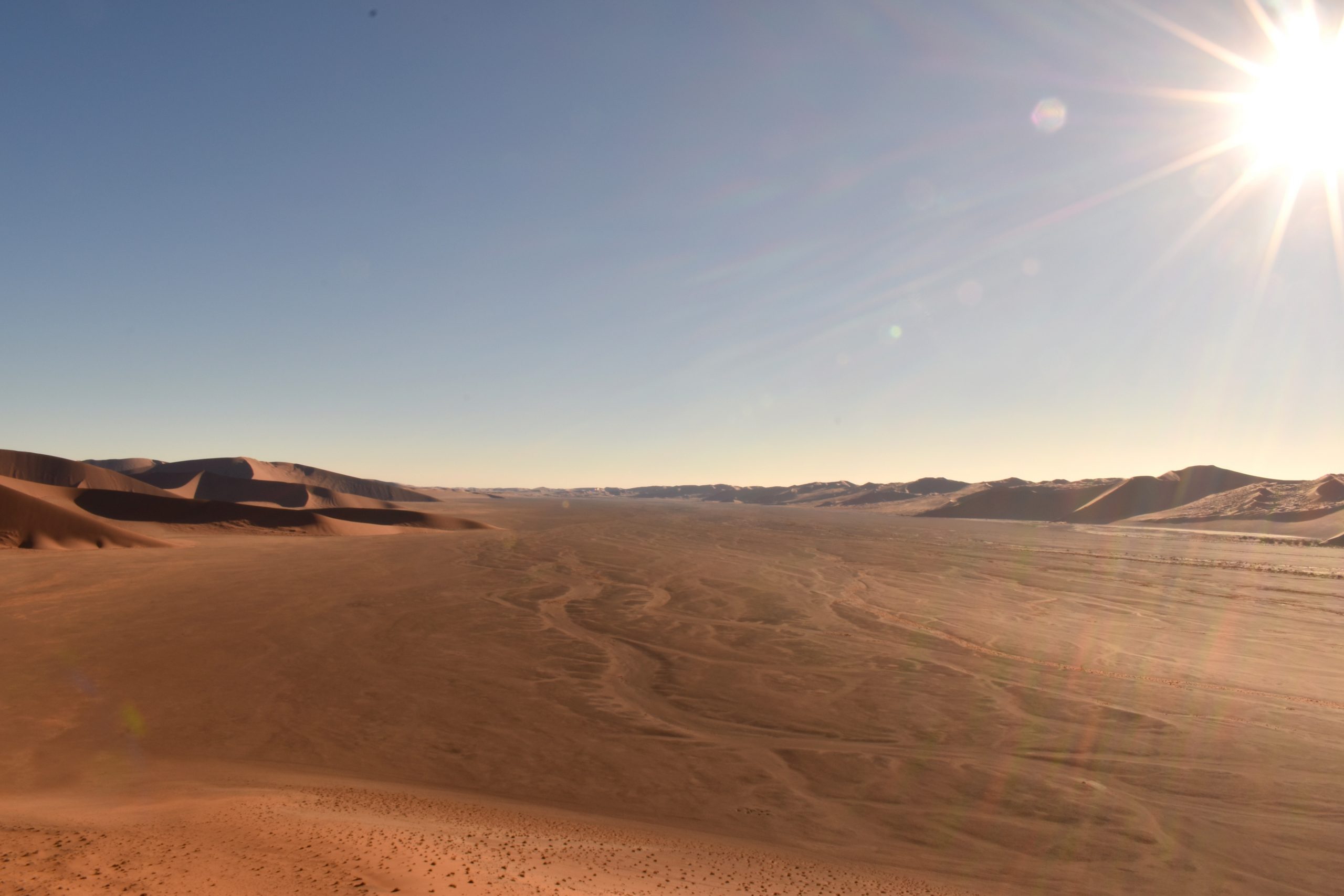 Dry landscape in Namibia. Credit: Dr Callum Munday.