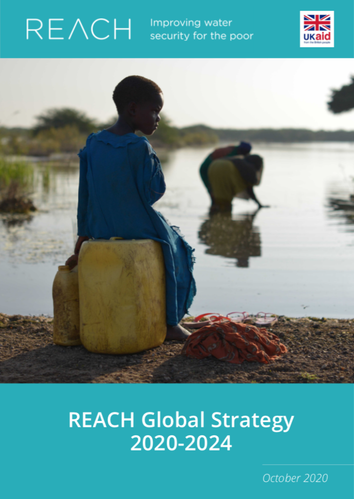 REACH Global Strategy 2020-2014