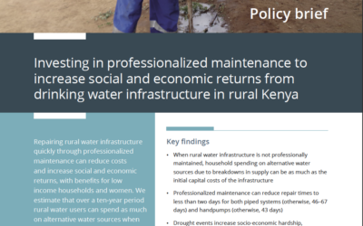 Investing in professionalized maintenance to increase social and economic returns from drinking water infrastructure in rural Kenya
