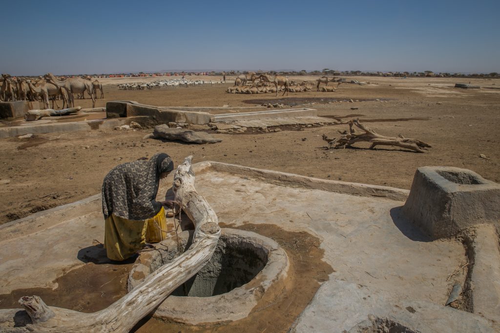 Sulem Hire 9, uses a rope attached to a jerry can to pull water from a borehole in Hadhwe sub-district. Sulem says because it’s the school break season she can help her family with household chores particularly needed in this difficult drought affected season. February 1, 2017, Hadhawe village, Somali regional state, Ethiopia. ©UNICEF Ethiopia/2016/Ayene