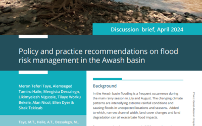 Policy and practice recommendations on flood risk management in the Awash basin