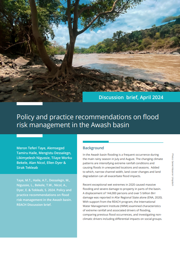 Cover of IWMI flood risk brief, showing picture of river