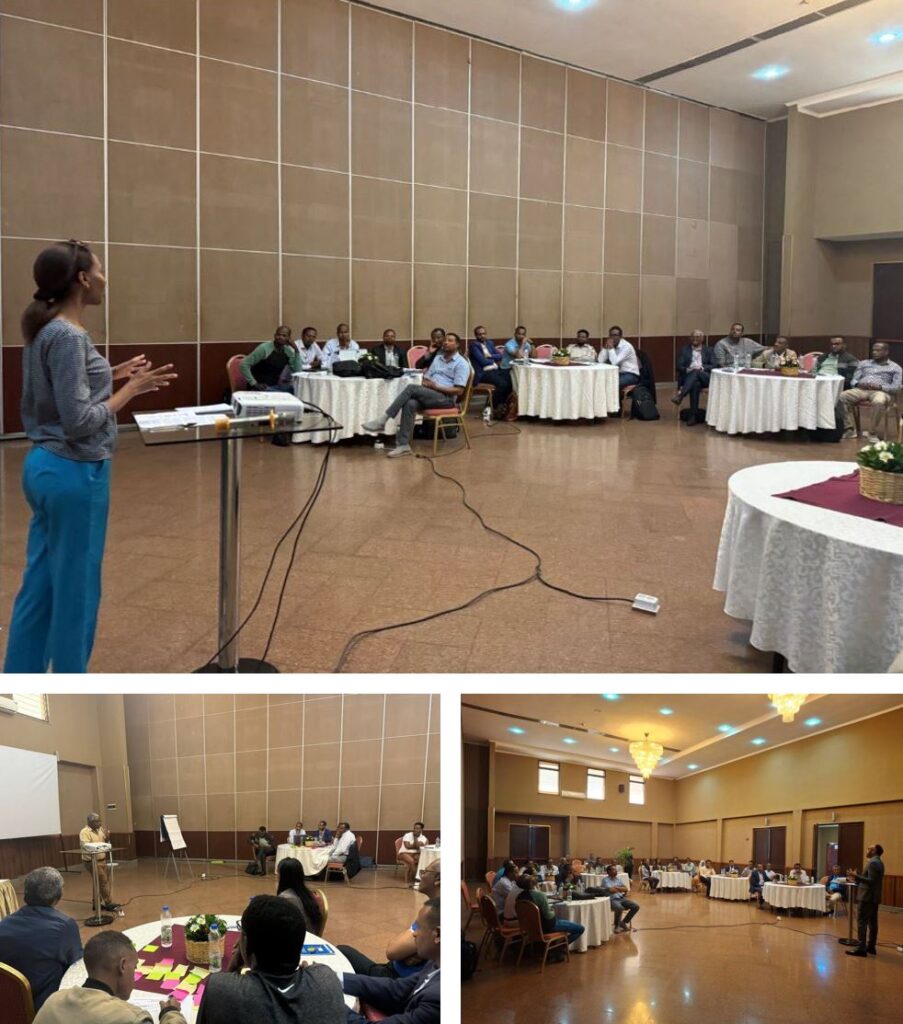 Presentations at Ethiopia Stakeholder Engagement Workshop