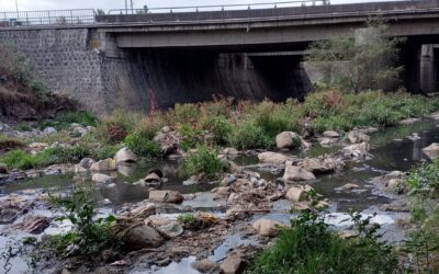 Tracing Emerging Contaminants in the Awash River Basin, Ethiopia