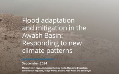 Flood adaptation and mitigation in the Awash Basin: Responding to new climate patterns