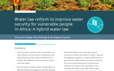 REACH Story of Change: Water law reform to improve water security for vulnerable people in Africa: A hybrid water law